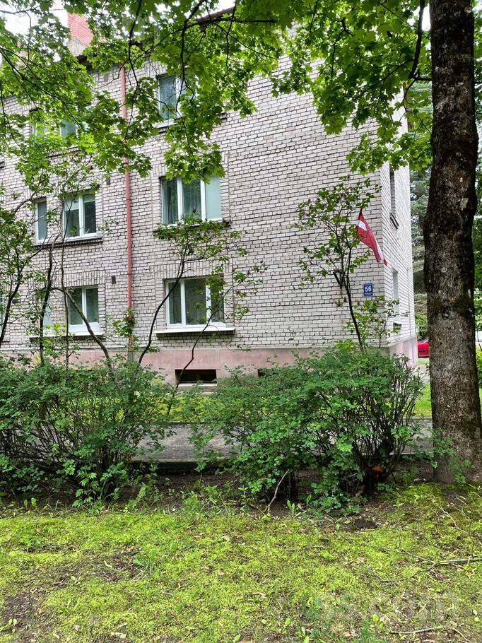 Ziepniekkalns, Kartupeļu 56